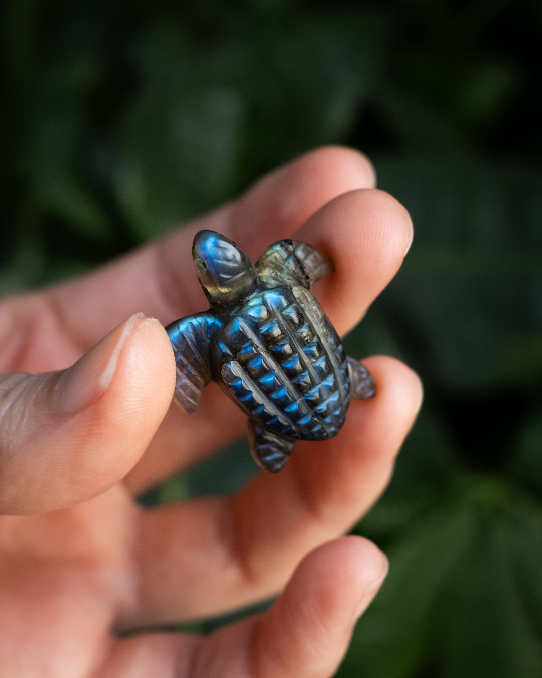 Small Labradorite Hand Carved Leatherback Sea Turtle Necklace