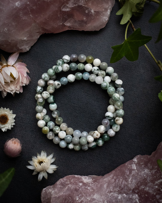 Tree Agate Round Bead Bracelet 6mm