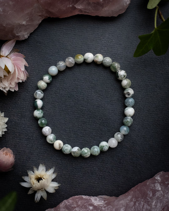 Tree Agate Round Bead Bracelet 6mm